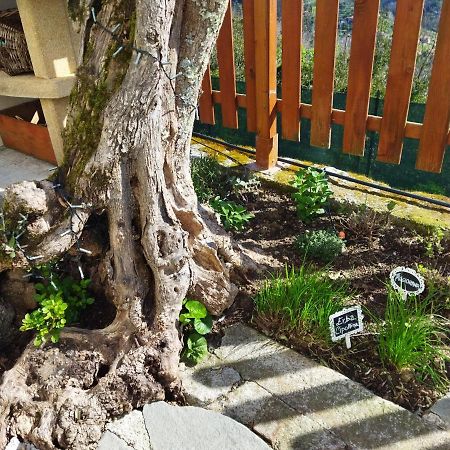 Amphiorama Villa La Spezia Bagian luar foto