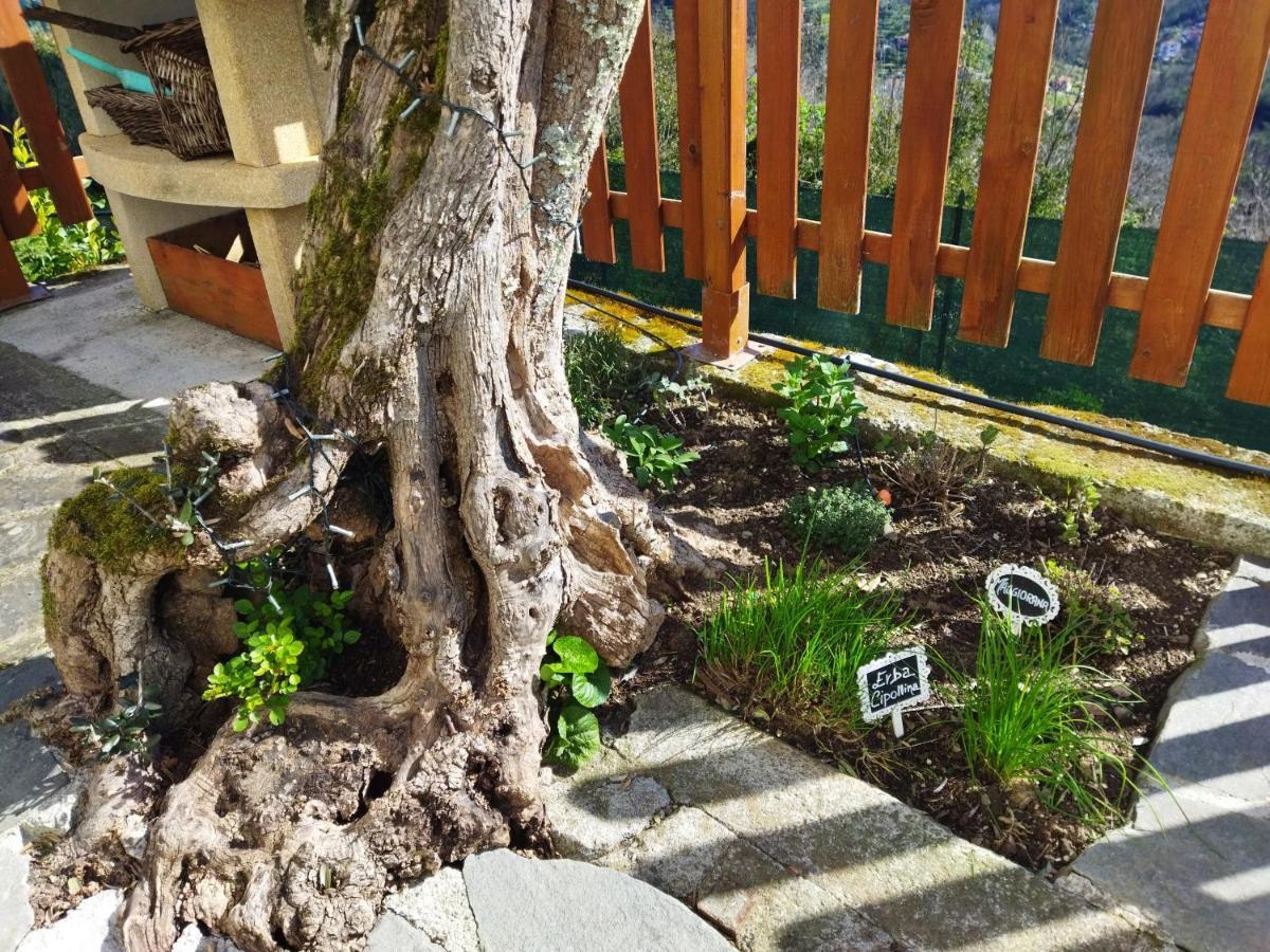 Amphiorama Villa La Spezia Bagian luar foto